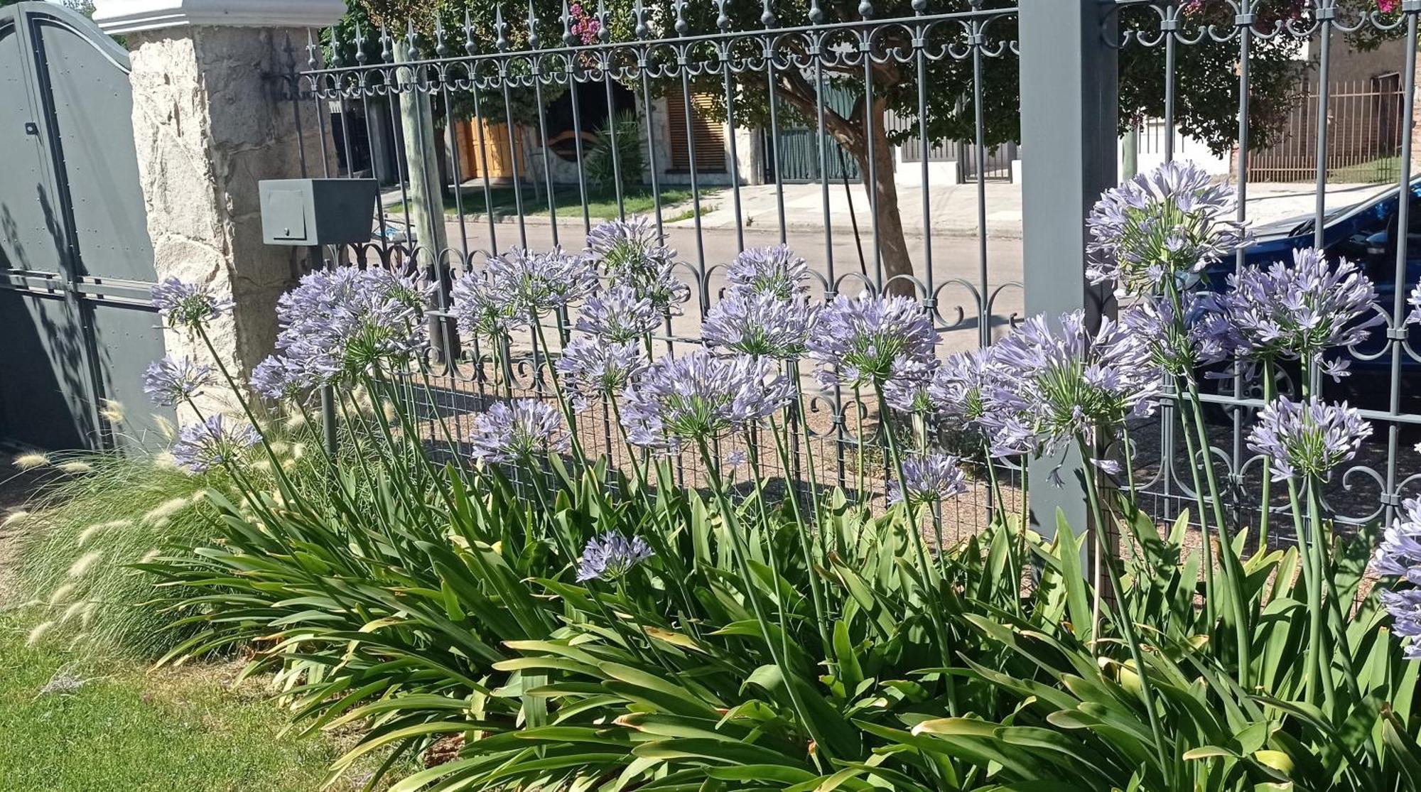 Oasis Cochera Opcional บาอิยาบลังกา ห้อง รูปภาพ